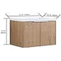 SSLine 30-Inch Wall Mounted Bathroom Vanity with Sink